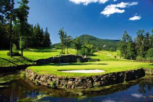 10946-golf 10946-golf